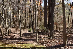 9 Pinecourt Dr, Siler City, NC 27344 - Photo 81