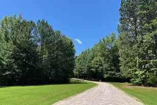 162 Black Horse Ln, Kittrell, NC 27544 - Photo 27