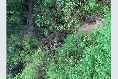 3306 Swansea Street, Durham, NC 27707 - Photo 3