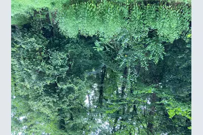 3306 Swansea Street, Durham, NC 27707 - Photo 5