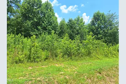 0 Carver Street, Franklinton, NC 27525 - Photo 3