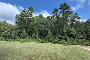 605 Metroliner Pl, Knightdale, NC 27545 - Photo 3