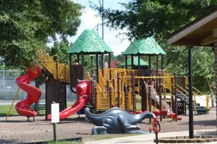 383 Hopewell Br Ct, Smithfield, NC 27577 - Photo 43