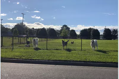 383 Hopewell Branch Court, Smithfield, NC 27577 - Photo 45