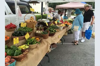 216 Trunnel Street, Holly Springs, NC 27540 - Photo 45