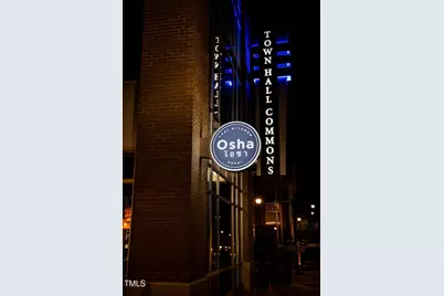 216 Trunnel Street, Holly Springs, NC 27540 - Photo 51