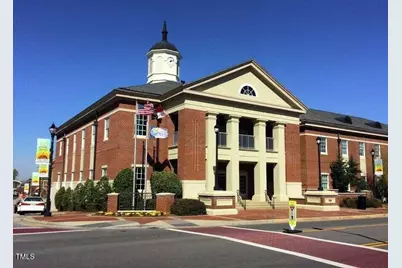 216 Trunnel Street, Holly Springs, NC 27540 - Photo 47