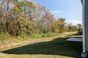 359 Hopewell Br Ct, Smithfield, NC 27577 - Photo 37