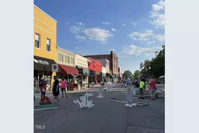 333 New Twin Branch Court, Smithfield, NC 27577 - Photo 49