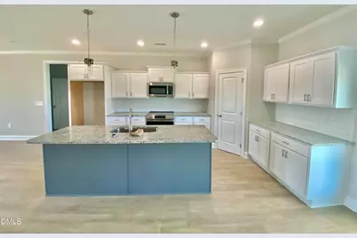 217 Rae Drive, Pikeville, NC 27863 - Photo 7