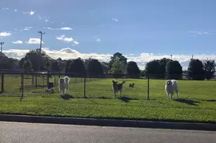 118 Hopewell Br Ct, Smithfield, NC 27577 - Photo 37