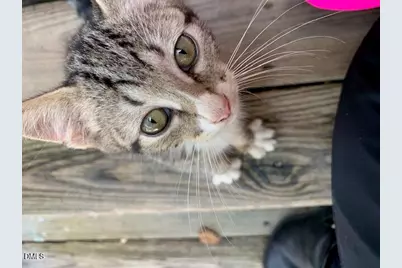 602 Wondertown Drive, Erwin, NC 28339 - Photo 29