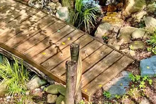 12212 Ashton Woods Ln, Raleigh, NC 27614 - Photo 51