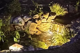 12212 Ashton Woods Ln, Raleigh, NC 27614 - Photo 45