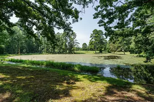 1191 Old Sanford Rd, Moncure, NC 27559 - Photo 29