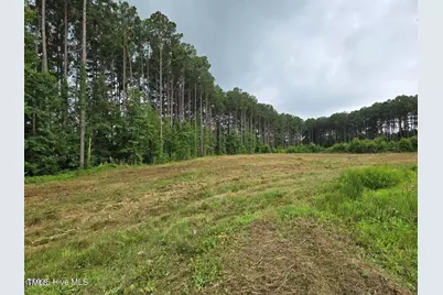 Lot 50 Roseheath Court, Bailey, NC 27807 - Photo 1