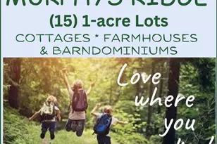 4459 Poppy Mallow Ln, Stem, NC 27581 - Photo 7