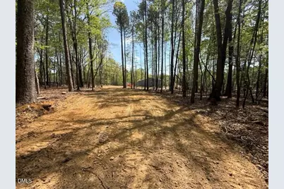 4459 Poppy Mallow Lane, Oxford, NC 27565 - Photo 5