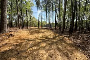 4459 Poppy Mallow Ln, Stem, NC 27581 - Photo 5