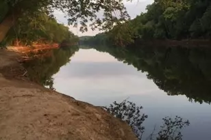 1003 Summerville Mamers Road Rd, Lillington, NC 27546 - Photo 39