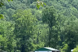 1694 Polly Spout Rd, Marion, NC 28752 - Photo 1