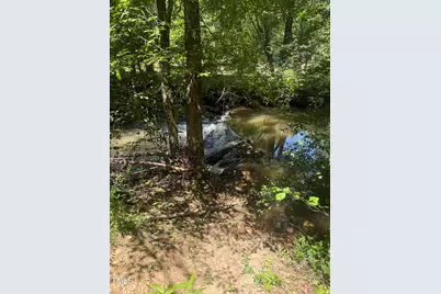 1694 Polly Spout Road, Marion, NC 28752 - Photo 3