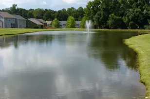 48 Manito Pl, Clayton, NC 27520 - Photo 37