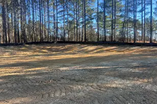 25 Blackhorn Ct, Pittsboro, NC 27312 - Photo 9