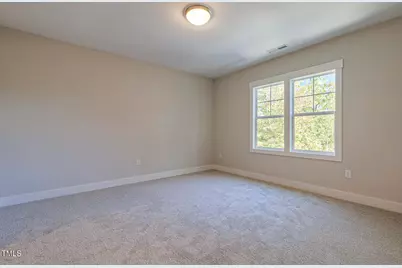 25 Blackhorn Court, Pittsboro, NC 27312 - Photo 77