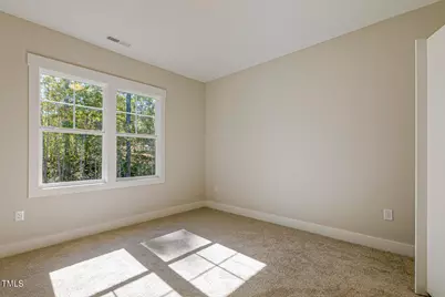 25 Blackhorn Court, Pittsboro, NC 27312 - Photo 57