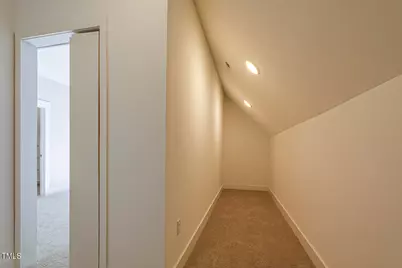 25 Blackhorn Court, Pittsboro, NC 27312 - Photo 61