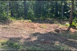 Lot 24 Turtle Hill Ct, Roxboro, NC 27573 - Photo 1