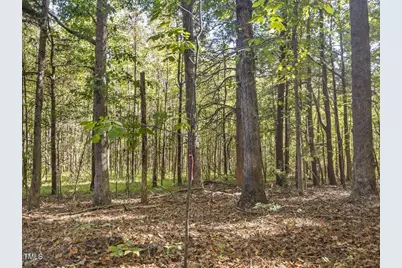 281 Karen Calhoun Road, Pittsboro, NC 27312 - Photo 11