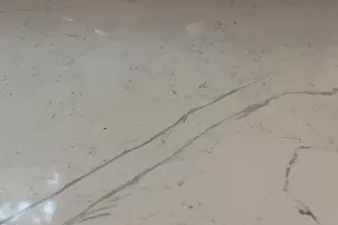 313 W Cornwallis Rd, Durham, NC 27707 - Photo 31