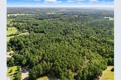 Tract 2 Benson Hardee Road, Benson, NC 27504 - Photo 3