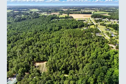 Tract 2 Benson Hardee Road, Benson, NC 27504 - Photo 9