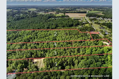 Tract 2 Benson Hardee Road, Benson, NC 27504 - Photo 11