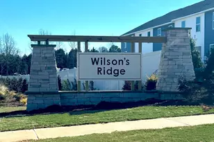 171 Holmes Cor Dr, Wilsons Mills, NC 27577 - Photo 33