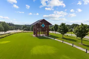 244 Thunder Forest Ln, Wendell, NC 27591 - Photo 31