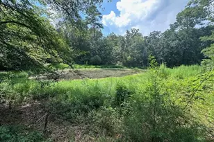 4115 Busbee Rd, Seagrove, NC 27341 - Photo 33