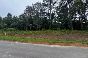 331 Meadow Walk Dr, Fuquay Varina, NC 27526 - Photo 5