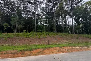 331 Meadow Walk Dr, Fuquay Varina, NC 27526 - Photo 3