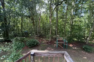 212 Long Needle Dr, Clayton, NC 27520 - Photo 19