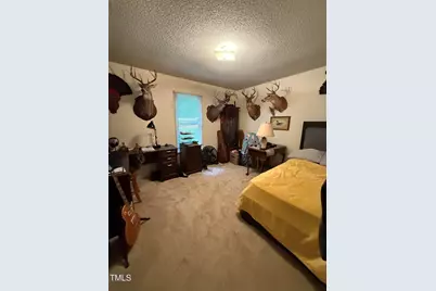 212 Long Needle Drive, Clayton, NC 27520 - Photo 15