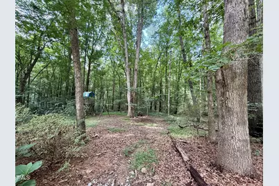 212 Long Needle Drive, Clayton, NC 27520 - Photo 25