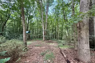 212 Long Needle Dr, Clayton, NC 27520 - Photo 25