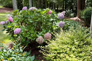 212 Long Needle Dr, Clayton, NC 27520 - Photo 29