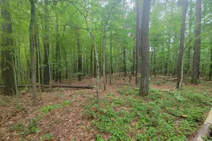 3217 Rowena Ave, Durham, NC 27703 - Photo 7