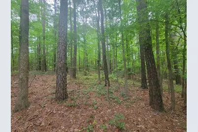 3217 Rowena Avenue, Durham, NC 27703 - Photo 9