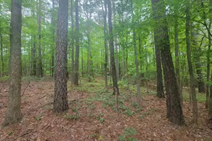 3217 Rowena Ave, Durham, NC 27703 - Photo 9